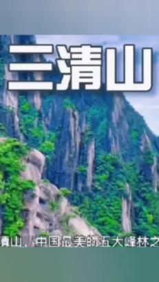 春雨直播app
